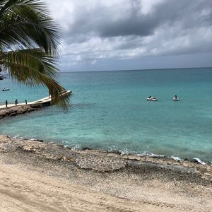 Meet your Posher, Colleene